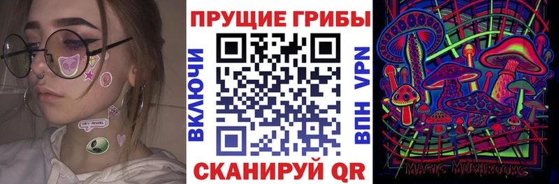 дарк нет Telegram  Ахтубинск  Псилоцибиновые грибы мухоморы 