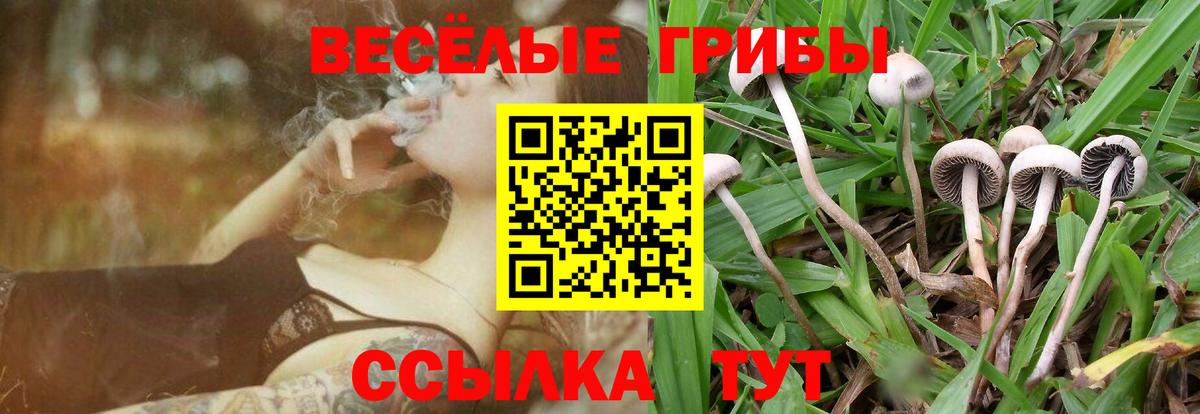 Псилоцибиновые грибы прущие грибы Ахтубинск