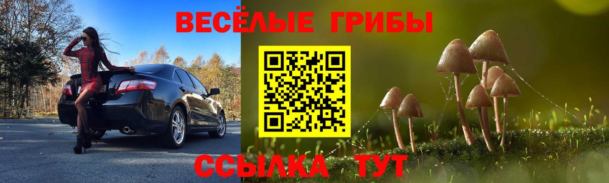 Псилоцибиновые грибы GOLDEN TEACHER  Псилоцибиновые грибы ЛСД  Ахтубинск 