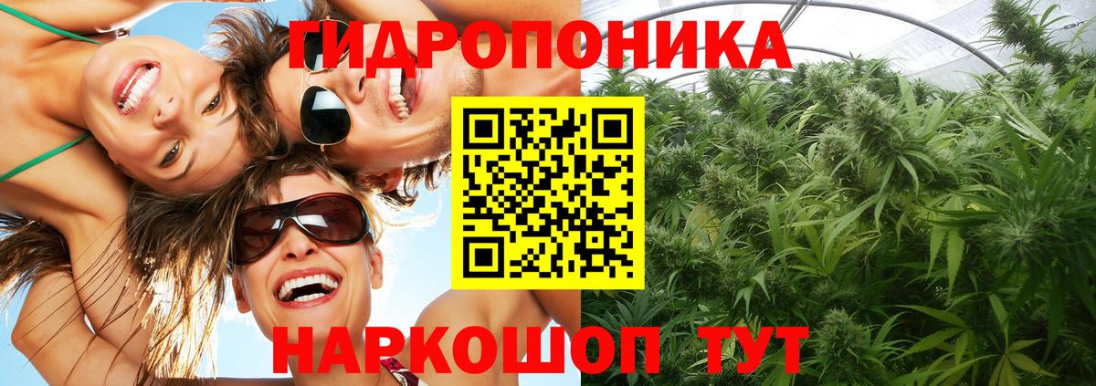 Шишки марихуана MAZAR  Бошки марихуана план  Ахтубинск  Шишки марихуана VHQ 